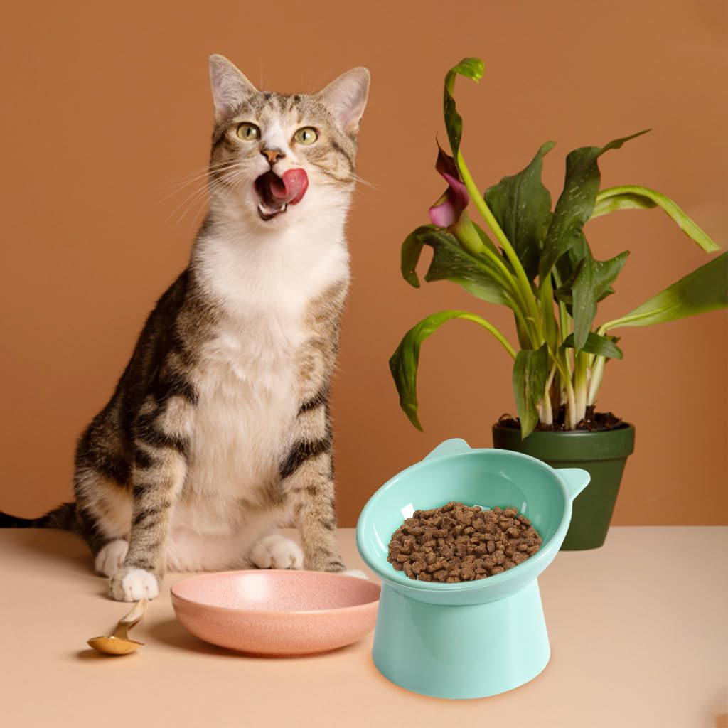 Qpets Cat Feeding Bowl Elevated Feeding Bowl for Cat Round Cat Food Bowl Scientific 15-Degree Tilted Cat Food Bowl, Prevent Tipping Over Durable Plastic Cat Feeding Bowl (5.31inch Diameter) Qpets Cat Feeding Bowl Elevated Feeding Bowl for Cat Round Cat Food Bowl Scientific 15-Degree Tilted Cat Food Bowl, Prevent Tipping Over Durable Plastic Cat Feeding Bowl (5.31inch Diameter)